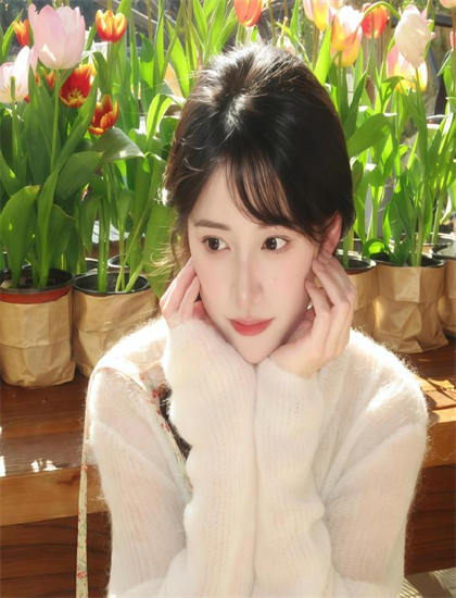 最新：《斑马人2：斑马城的反攻》新旧版对比：技术进步与改编差异